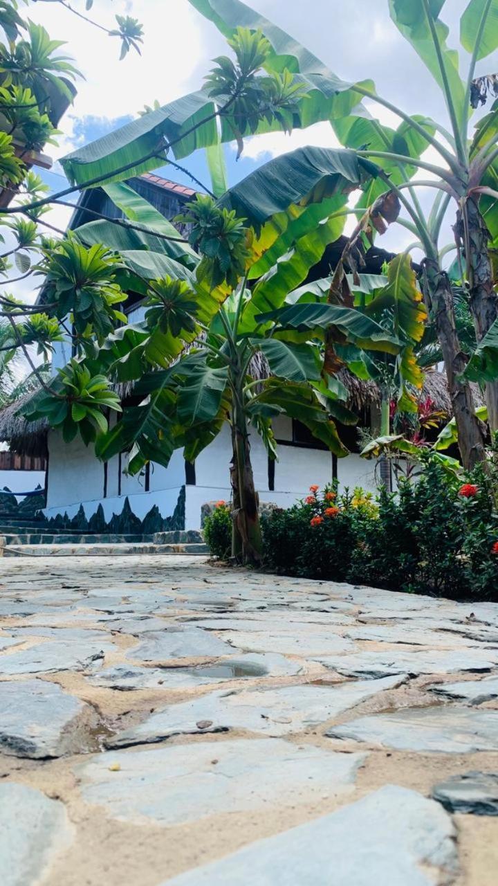 El Paraiso De Carmen Паломино Экстерьер фото